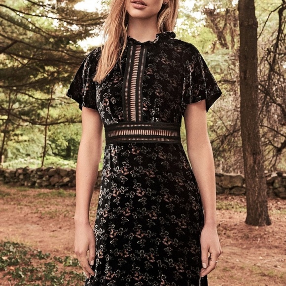rebecca taylor floral velvet dress